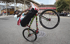 Vans x SE Bikes